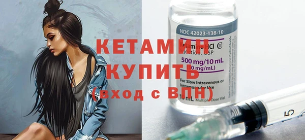 индика Надым