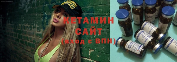 индика Надым