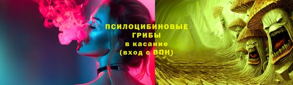 индика Надым