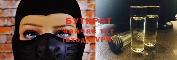 индика Надым