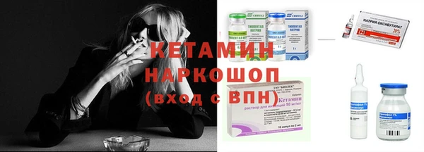 индика Надым