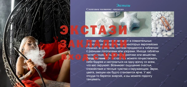 индика Надым