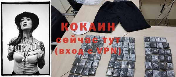 индика Надым
