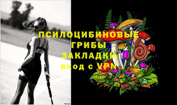 индика Надым