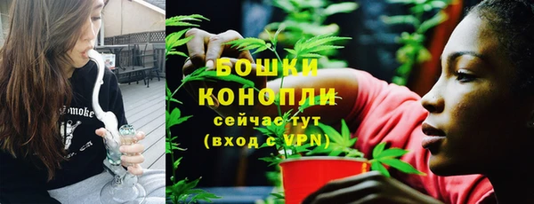 индика Надым