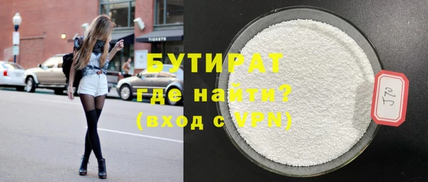 индика Надым