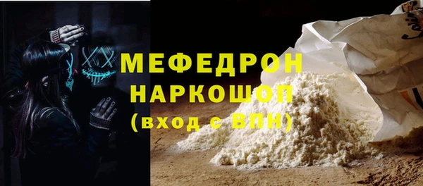индика Надым