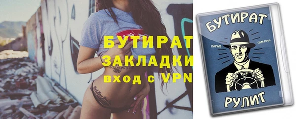 индика Надым